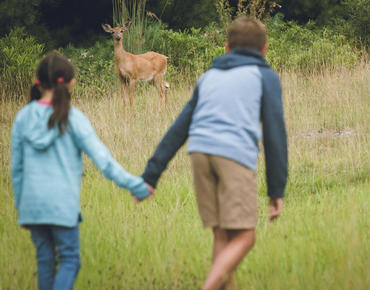 kartrite-explore hiking deer kids